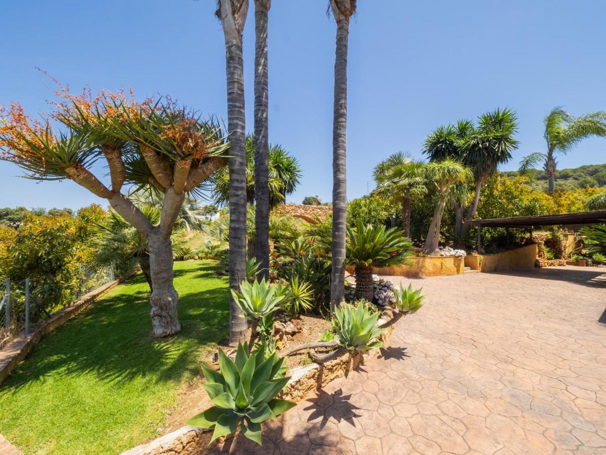 Alhaurín el Grande Cubo'S Finca Los Dragos מראה חיצוני תמונה